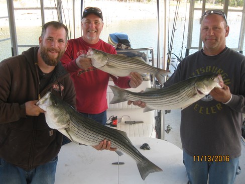 Nice Striped Bass